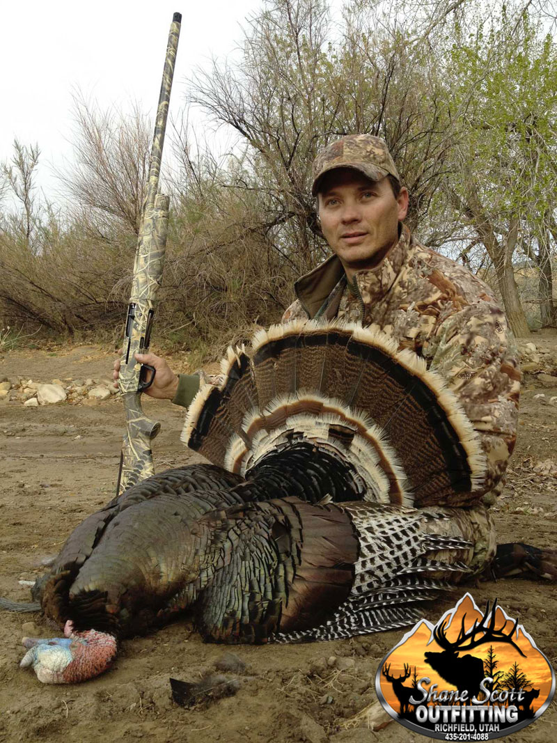 Shane Scott Outfitting Utah Guided Turkey Hunts Shane Scott Outfitting Utah Guided Turkey Hunts