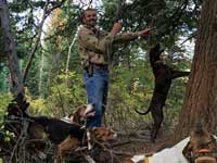 Utah black bear