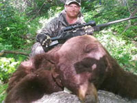 Utah black bear