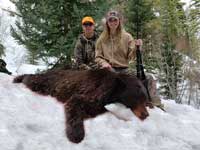 Utah black bear