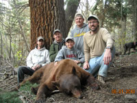 Utah black bear