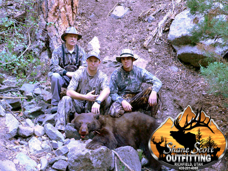 Utah black bear