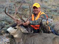 Mule Deer