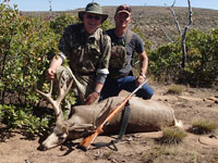 Mule Deer