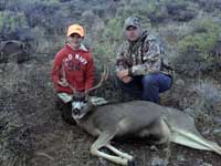 Mule Deer