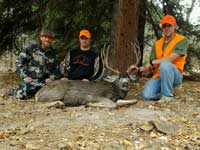 Mule Deer