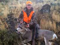 Mule Deer