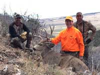 Mule Deer