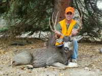 Mule Deer