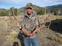 Mule Deer