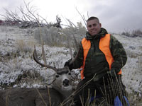 Mule Deer