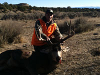 Mule Deer