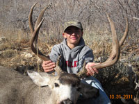 Mule Deer