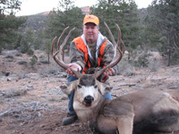 Mule Deer