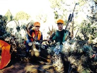 Mule Deer