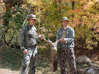 Mule Deer