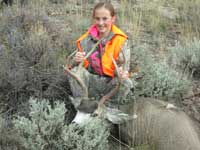 Mule Deer