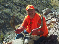 Mule Deer