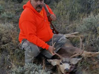 Mule Deer