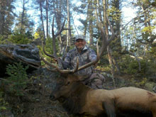 Utah Elk