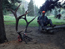 Utah Elk