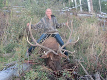 Utah Elk