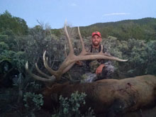 Utah Elk