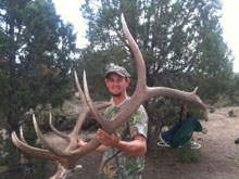 Utah Elk