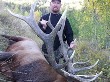 Utah Elk