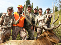 Utah Elk