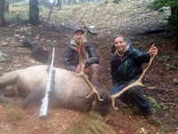 Utah Elk