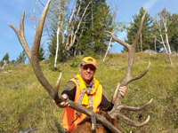 Utah Elk