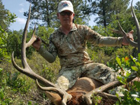 Utah Elk