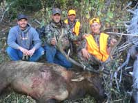 Utah Elk