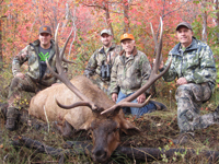 Utah Elk