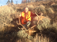 Utah Elk