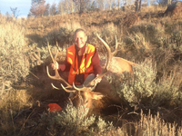 Utah Elk