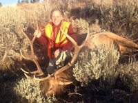 Utah Elk