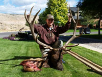 Utah Elk