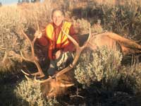 Utah Elk