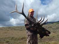 Utah Elk