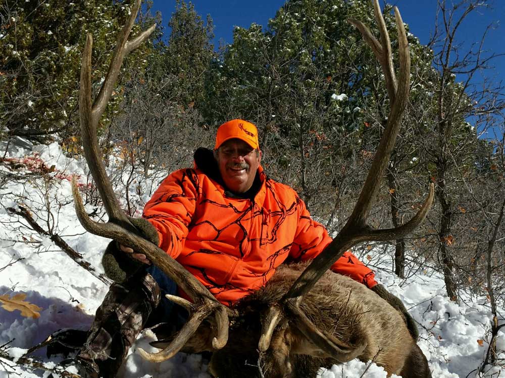 Utah Elk