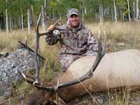 Utah Elk