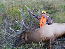 Utah Elk