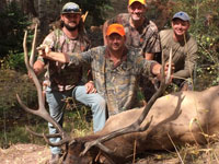 Utah Elk