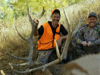 Utah Elk