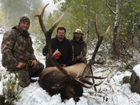 Utah Elk