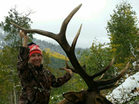 Utah Elk