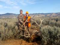 Utah Elk