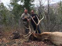 Utah Elk